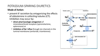 DRUGS ACTING ON THE KIDNEYS - DIURETICS.pptx