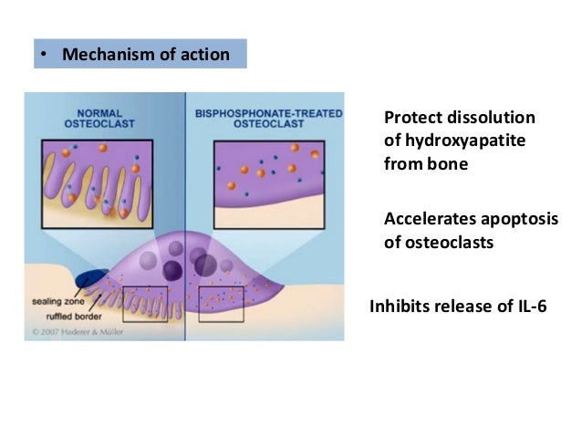 Treatment of osteoporosis and drugs affecting calcium balance Treatment of osteoporosis and drugs affecting calcium balance