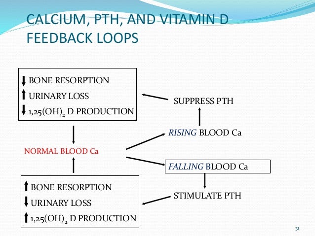 Drugs affecting calcium balance
