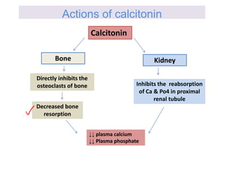 Calcitonin
Bone Kidney
Directly inhibits the
osteoclasts of bone
Decreased bone
resorption
↓↓ plasma calcium
↓↓ Plasma phosphate
Inhibits the reabsorption
of Ca & Po4 in proximal
renal tubule
Actions of calcitonin
 