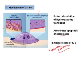 • Mechanism of action
Protect dissolution
of hydroxyapatite
from bone
Accelerates apoptosis
of osteoclasts
Inhibits release of IL-6
 