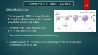 Tpo Signalling Drugs affecting haematopoiesis and recent advances by swaroopa | PPTX
