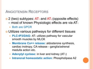 ANGIOTENSIN RECEPTORS
 2 (two) subtypes: AT1 and AT2 (opposite effects)
– most of known Physiologic effects are via AT1
 Both are GPCR
 Utilizes various pathways for different tissues
 PLC-IP3/DAG: AT1 utilizes pathway for vascular
smooth muscles by MLCK
 Membrane Ca++ release: aldosterone synthesis,
cardiac inotropy, CA release - ganglia/adrenal
medulla action etc.
 Adenylyl cyclase: in liver and kidney (AT1)
 Intrarenal homeostatic action: Phospholipase A2
 