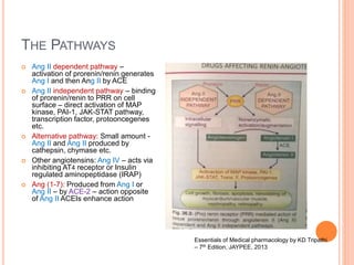 THE PATHWAYS
 Ang II dependent pathway –
activation of prorenin/renin generates
Ang I and then Ang II by ACE
 Ang II independent pathway – binding
of prorenin/renin to PRR on cell
surface – direct activation of MAP
kinase, PAI-1, JAK-STAT pathway,
transcription factor, protooncegenes
etc.
 Alternative pathway: Small amount -
Ang II and Ang II produced by
cathepsin, chymase etc.
 Other angiotensins: Ang IV – acts via
inhibiting AT4 receptor or Insulin
regulated aminopeptidase (IRAP)
 Ang (1-7): Produced from Ang I or
Ang II – by ACE-2 – action opposite
of Ang II ACEIs enhance action
Essentials of Medical pharmacology by KD Tripathi
– 7th Edition, JAYPEE, 2013
 