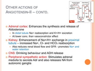 OTHER ACTIONS OF
ANGIOTENSIN-II – CONTD.
 Adrenal cortex: Enhances the synthesis and release of
Aldosterone
 In distal tubule Na+ reabsorption and K+/H+ excretion
 At lower conc. than vasoconstrictor effect
 Kidney: Enhancement of Na+/H+ exchange in proximal
tubule – increased Na+, Cl- and HCO3 reabsorption
 Also reduces renal blood flow and GFR - promotes Na+ and
water retention
 CNS: Drinking behaviour and ADH release
 Peripheral sympathetic action: Stimulates adrenal
medulla to secrete Adr and also releases NA from
autononic ganglia
 