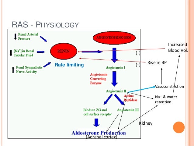 Drugs affecting renin-angiotensin system diagram of nsaids 