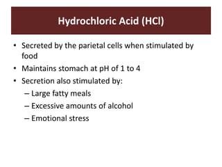 Hydrochloric Acid (HCl)
• Secreted by the parietal cells when stimulated by
food
• Maintains stomach at pH of 1 to 4
• Secretion also stimulated by:
– Large fatty meals
– Excessive amounts of alcohol
– Emotional stress
 