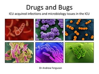 Drugs and Bugs
ICU acquired infections and microbiology issues in the ICU

Dr Andrew Ferguson

 