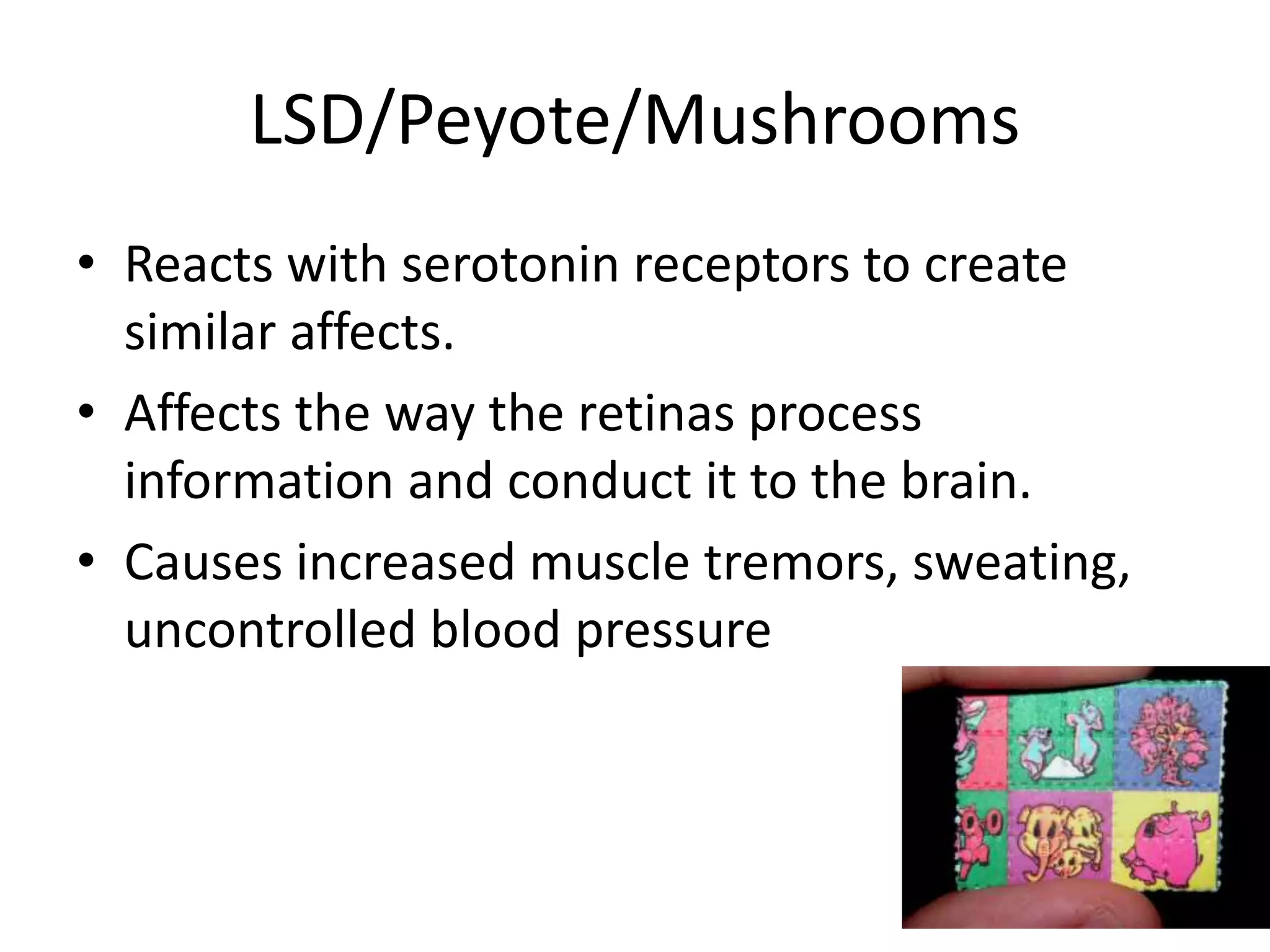 LSD/Peyote/Mushrooms
• Reacts with serotonin receptors to create
similar affects.
• Affects the way the retinas process
information and conduct it to the brain.
• Causes increased muscle tremors, sweating,
uncontrolled blood pressure