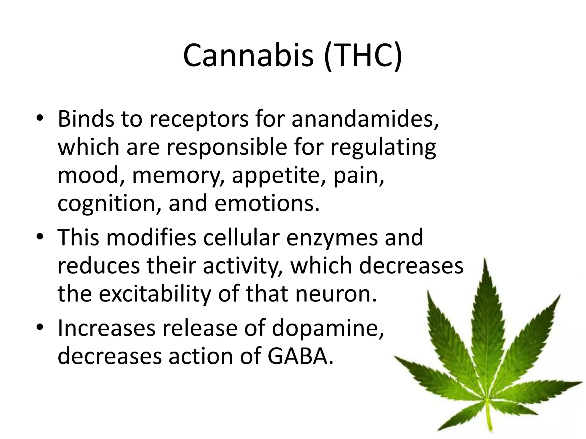 Cannabis (THC)
• Binds to receptors for anandamides,
which are responsible for regulating
mood, memory, appetite, pain,
cognition, and emotions.
• This modifies cellular enzymes and
reduces their activity, which decreases
the excitability of that neuron.
• Increases release of dopamine,
decreases action of GABA.