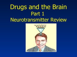 Drugs and the Brain Part 1  Neurotransmitter Review 