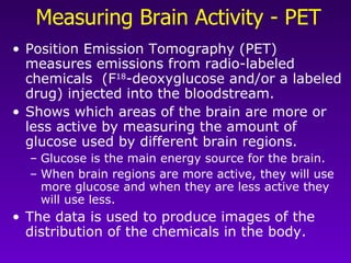 Measuring Brain Activity - PET Position Emission Tomography (PET) measures emissions from radio-labeled chemicals  (F 18 -deoxyglucose and/or a labeled drug) injected into the bloodstream.  Shows which areas of the brain are more or less active by measuring the amount of glucose used by different brain regions.  Glucose is the main energy source for the brain.  When brain regions are more active, they will use more glucose and when they are less active they will use less. The data is used to produce images of the distribution of the chemicals in the body.  