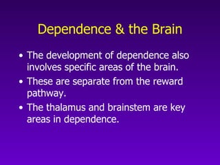 Dependence & the Brain The development of dependence also involves specific areas of the brain. These are separate from the reward pathway.  The thalamus and brainstem are key areas in dependence. 