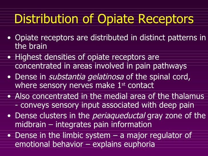 Opiates Shocking Secret What They Share With Your Brain - j3clnpx