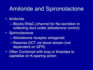 Amiloride and Spironolactone Amiloride  Blocks ENaC (channel for Na secretion in collecting duct under aldosterone control) Spironolactone Aldosterone receptor antagonist  Reaches DCT via blood stream (not dependent on GFR) Often Combined with loop or thiazides to capitalise on K-sparing action 