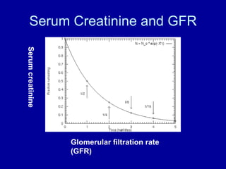 Serum Creatinine and GFR Serum creatinine Glomerular filtration rate  (GFR) 
