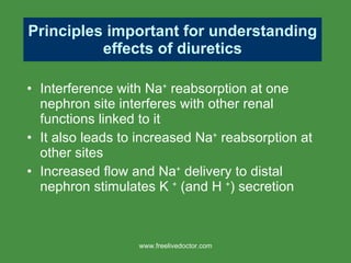 Principles important for understanding effects of diuretics Interference with Na +  reabsorption at one nephron site interferes with other renal functions linked to it It also leads to increased Na +  reabsorption at other sites Increased flow and Na +  delivery to distal nephron stimulates K  +  (and H  + ) secretion www.freelivedoctor.com 