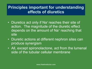Diuretics act only if Na +  reaches their site of action.  The magnitude of the diuretic effect depends on the amount of Na +  reaching that site Diuretic actions at different nephron sites can produce synergism All, except spironolactone, act from the lumenal side of the tubular cellular membrane Principles important for understanding effects of diuretics www.freelivedoctor.com 