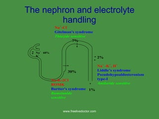 The nephron and electrolyte handling www.freelivedoctor.com 
