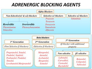 ADRENERGIC BLOCKING AGENTS
Prazosin Yohimbine
Terazosin
Reversible Irreversible Doxazosin
Phentolamine Phenoxybenzomine Tamsulosin
Tolazoline Alfuzosin
Alpha Blockers
Non-Selective(α1 & α2) blockers Selective α1 blockers Selective α2 blockers
Beta blockers
1st Generation 2nd Generation
3rd Generation
(Non Selective β blockers) (Selective β blockers)
(β blocker with additional
property
Propranolol, Sotalol,
Pindolol, Nadolol,
Penbutolol, Pindolol,
Timolol,
Levobunolol,Metipranolol
Metoprolol,
Atenolol,
Acebutolol,
Bisoprolol,
Esmolol
Non selective β1 selective
Labetalol,
Carvedilol,
Carteolol,
Bucindolol
Betaxolol,
Celiprolol,
Nebivolol
 