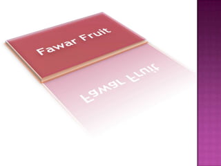 Fawar Fruit 