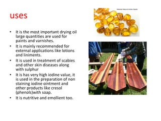 uses It is the most important drying oil large quantities are used for paints and varnishes. It is mainly recommended for external applications like lotions and liniments. It is used in treatment of scabies and other skin diseases along with sulphur It is has very high iodine value, it is used in the preparation of non staining iodine ointment and other products like cresol (phenols)with soap. It is nutritive and emollient too. 