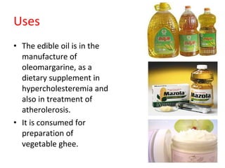 Uses The edible oil is in the manufacture of oleomargarine, as a dietary supplement in hypercholesteremia and also in treatment of atherolerosis. It is consumed for preparation of vegetable ghee. 