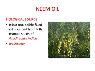 NEEM OIL BIOLOGICAL SOURCE It is a non edible fixed oil obtained from fully mature seeds of  Azadirachta indica Meliaceae 