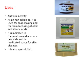Uses Antiviral activity As an non edible oil, it is used for soap making and for manufacturing of oleic and stearic acids. It is indicated in rheumatism and also as a pesticide and in medicated soaps for skin diseases. It is also spermicidal. 