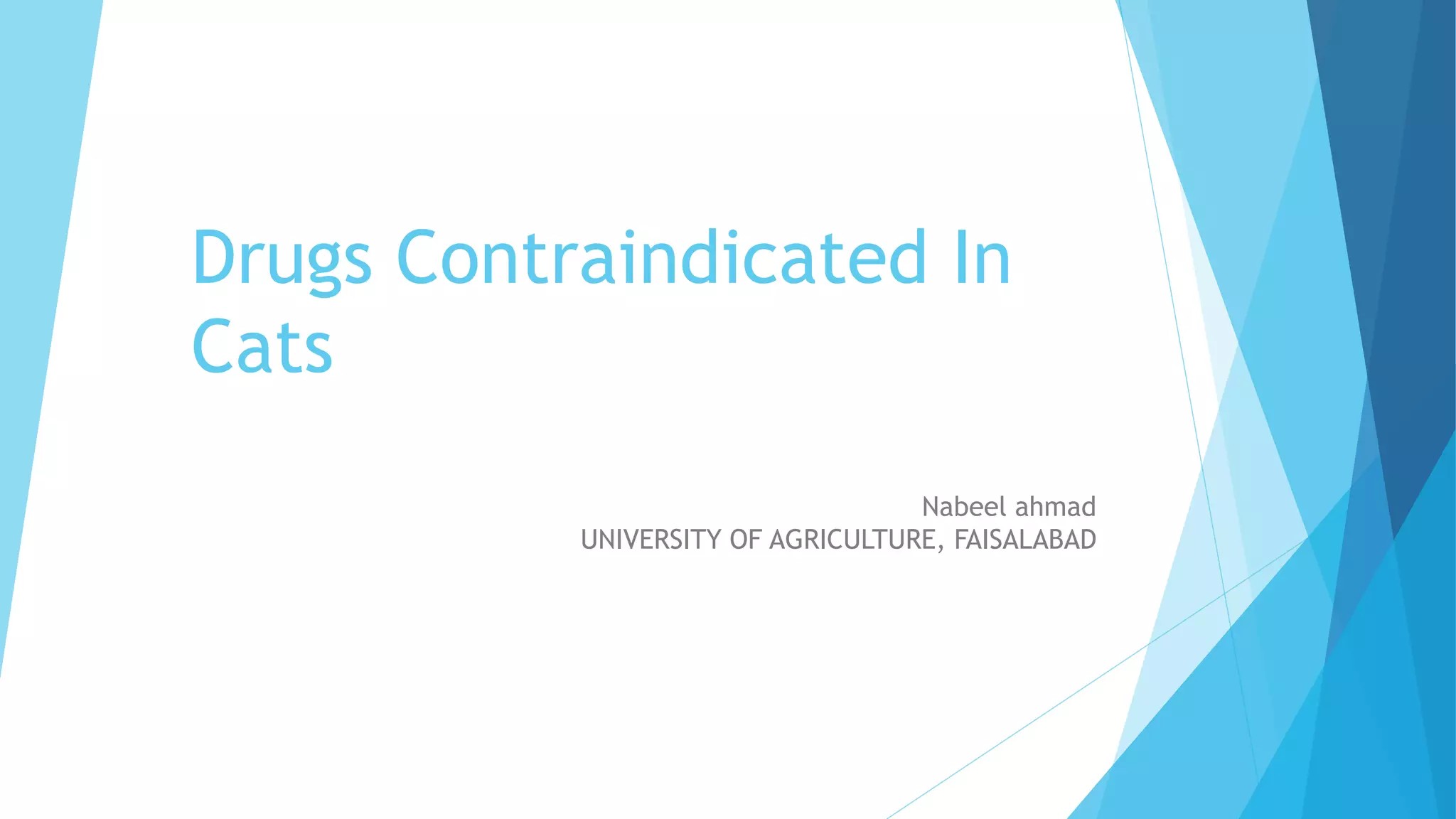 Drugs contraindicated in cats PPT