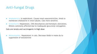 Drugs contraindicated in cats | PPTX