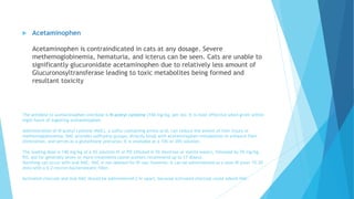 Drugs contraindicated in cats | PPTX
