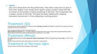 Drugs contraindicated in cats | PPTX