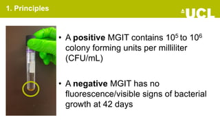 Mgit Phenotypic Testing Drug_sensitivity_testing.pdf