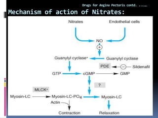 Mechanism of action of Nitrates:
Drugs for Angina Pectoris contd. ...……
 