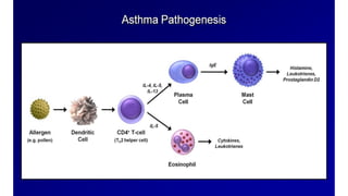Drugs for treatment of Bronchial Asthma including pathology physiology ...