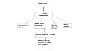 Drugs for treatment of Bronchial Asthma including pathology physiology ...