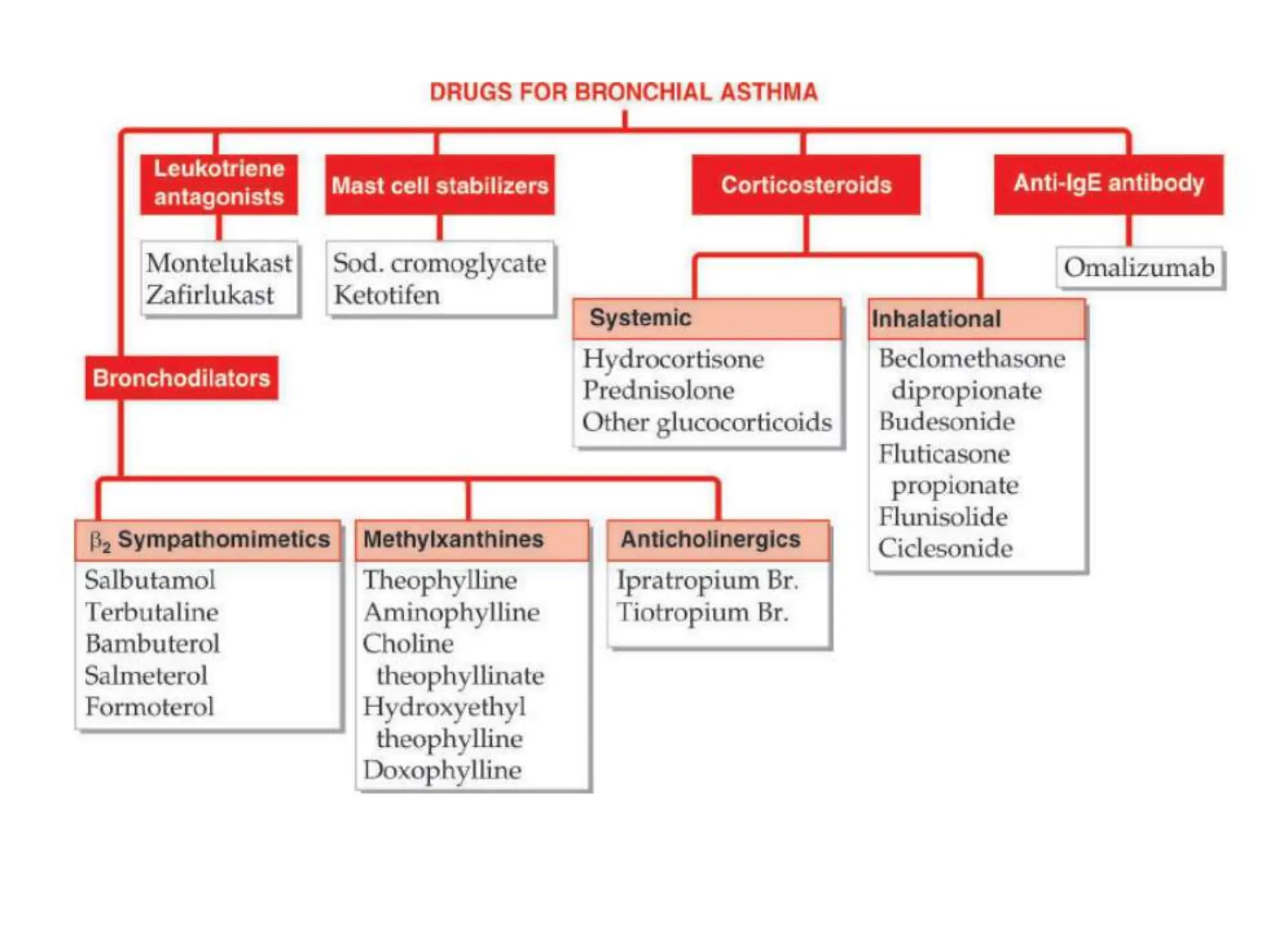 Drugs for Bronchial Asthma , classes of drugs used for Bronchial asthma ...