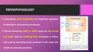 PATHOPHYSIOLOGY
 Intracellular cyclic nucleotides are important regulators
of absorptive and secretory processes.
 Stimuli enhancing cAMP or cGMP cause net loss of salt
and water, both by inhibiting NaCl absorption in villous
cells and by promoting anion secretion in the crypt cells
which are primarily secretory
 