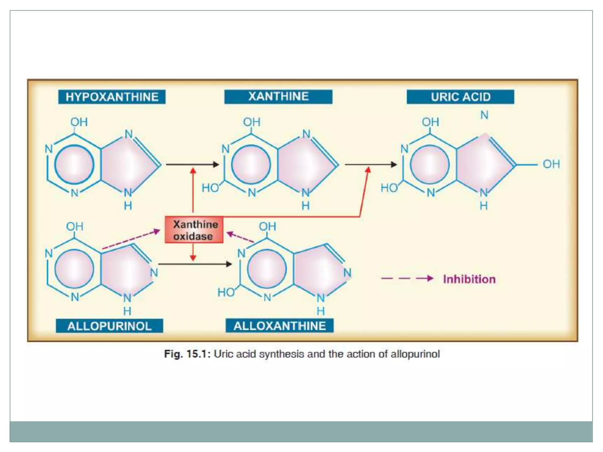 Drugs for gout acute and chronic gout pptx