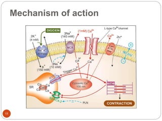 Pharmacology of Drugs for Congestive Heart Failure | PPTX
