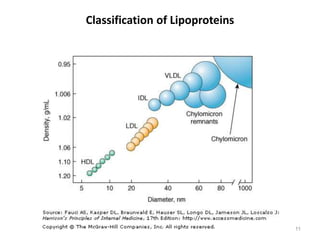 Classification of Lipoproteins
11
 