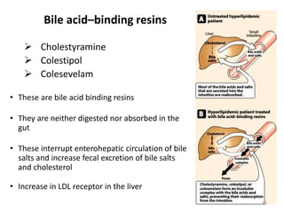 Bile acid–binding resins
 Cholestyramine
 Colestipol
 Colesevelam
• These are bile acid binding resins
• They are neither digested nor absorbed in the
gut
• These interrupt enterohepatic circulation of bile
salts and increase fecal excretion of bile salts
and cholesterol
• Increase in LDL receptor in the liver
33
 