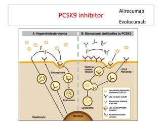 PCSK9 inhibitor
Alirocumab
Evolocumab
 