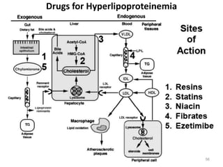 Drugs for Hyperlipoproteinemia
56
 