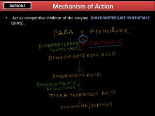 • Act as competitive inhibitor of the enzyme DIHYDROPTEROATE SYNTHETASE
(DHPS).
Mechanism of ActionDAPSONE
 