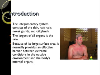 Introduction
Introduction
 The integumentary system
consists of the skin, hair, nails,
sweat glands, and oil glands.
 The largest of all organs is the
skin.
 Because of its large surface area, it
normally provides an effective
barrier between extreme
conditions in the outside
environment and the body’s
internal organs.
 