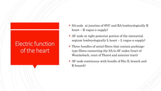 Electricfunction
oftheheart
 SA node at junction of SVC and RA (embryologically R
heart – R vagus n supply)
 AV node at ...
