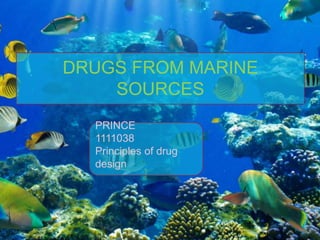 DRUGS FROM MARINE
SOURCES
PRINCE
1111038
Principles of drug
design
 
