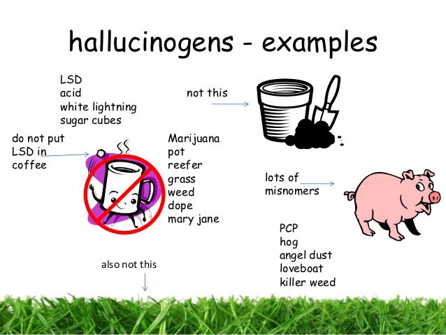 Hallucinogens Examples Resources 6 Different Types Of Hallucinogens